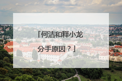 何洁和释小龙分手原因?