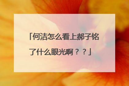 何洁怎么看上郝子铭了什么眼光啊？？