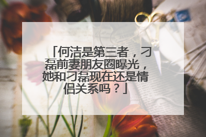 何洁是第三者，刁磊前妻朋友圈曝光，她和刁磊现在还是情侣关系吗？