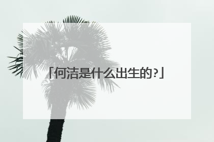 何洁是什么出生的?
