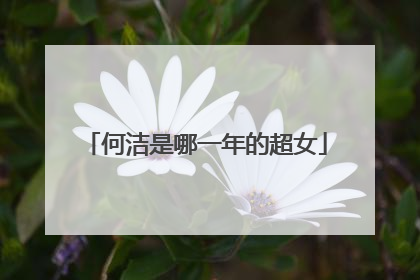 何洁是哪一年的超女