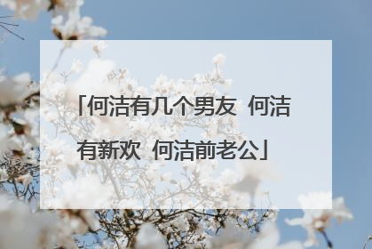 何洁有几个男友 何洁有新欢 何洁前老公