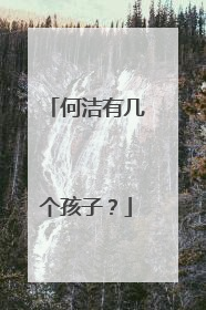 何洁有几个孩子?