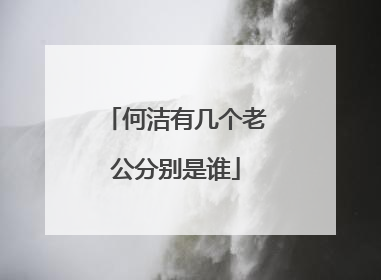 何洁有几个老公分别是谁