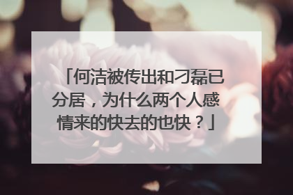何洁被传出和刁磊已分居,为什么两个人感情来的快去的也快?
