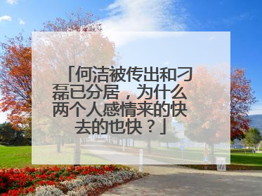 何洁被传出和刁磊已分居，为什么两个人感情来的快去的也快？