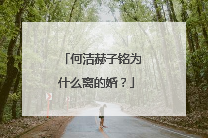 何洁赫子铭为什么离的婚?