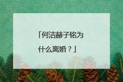何洁赫子铭为什么离婚?