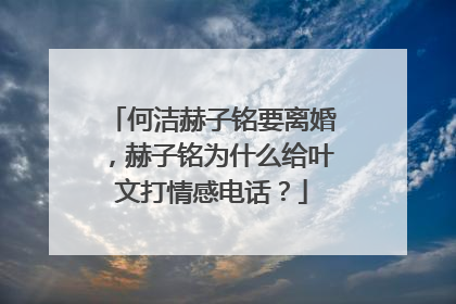 何洁赫子铭要离婚,赫子铭为什么给叶文打情感电话?