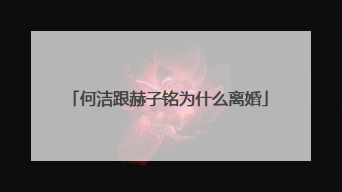 何洁跟赫子铭为什么离婚