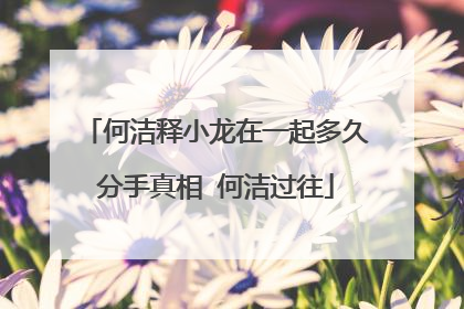 何洁释小龙在一起多久分手真相 何洁过往