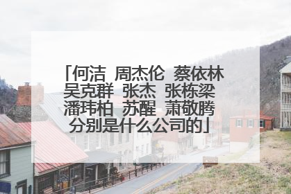 何洁 周杰伦 蔡依林 吴克群 张杰 张栋梁 潘玮柏 苏醒 萧敬腾 分别是什么公司的
