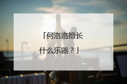 何洛洛擅长什么乐器？