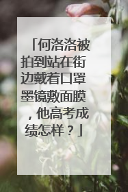 何洛洛被拍到站在街边戴着口罩墨镜敷面膜，他高考成绩怎样？
