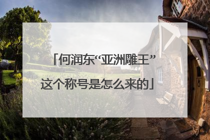 何润东“亚洲雕王”这个称号是怎么来的