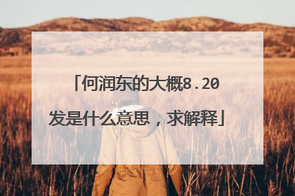 何润东的大概8.20发是什么意思，求解释