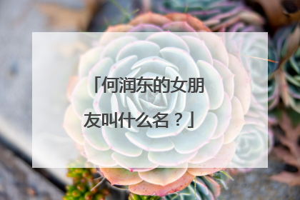 何润东的女朋友叫什么名？