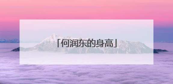 何润东的身高