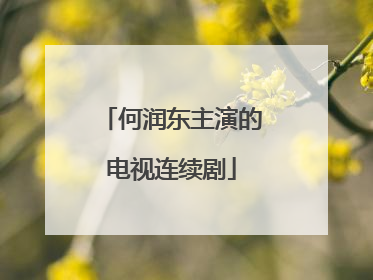 何润东主演的电视连续剧