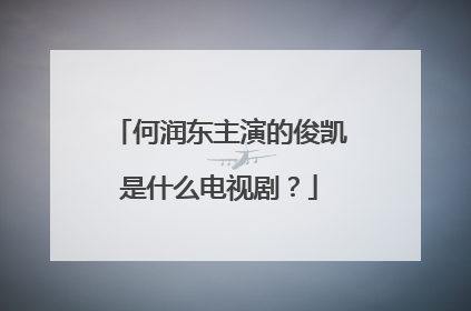何润东主演的俊凯是什么电视剧？