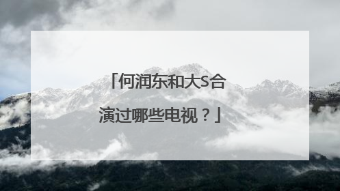 何润东和大S合演过哪些电视？