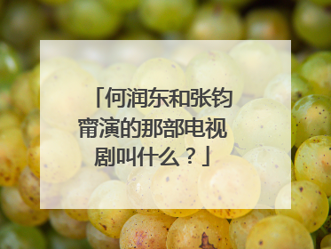 何润东和张钧甯演的那部电视剧叫什么?