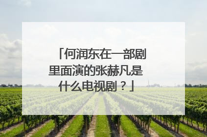 何润东在一部剧里面演的张赫凡是什么电视剧?