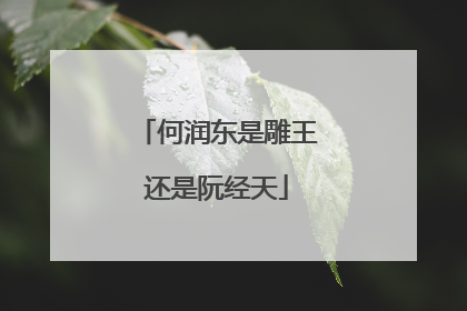何润东是雕王还是阮经天