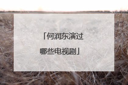 何润东演过哪些电视剧