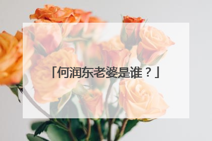 何润东老婆是谁?