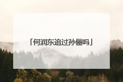 何润东追过孙俪吗
