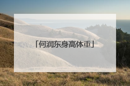 何润东身高体重