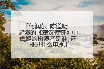 何润东 陈道明 一起演的《楚汉传奇》中虞姬的扮演者是谁,还排过什么电视