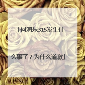 何润东315发生什么事了？为什么道歉