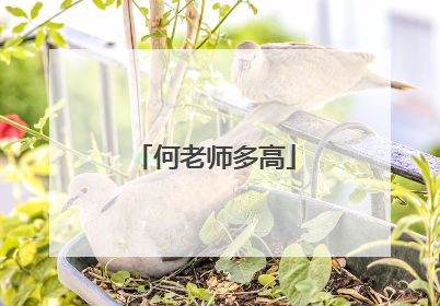 何老师多高