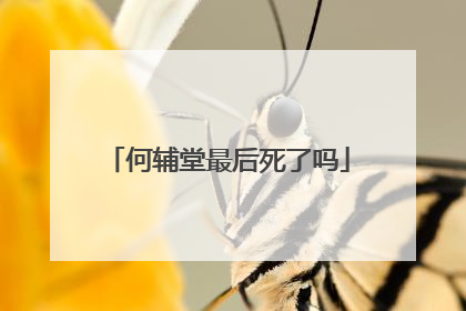 何辅堂最后死了吗