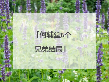 何辅堂6个兄弟结局