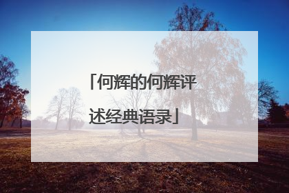 何辉的何辉评述经典语录