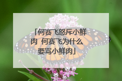 何赛飞怒斥小鲜肉 何赛飞为什么要骂小鲜肉