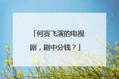 何赛飞演的电视剧,剧中分钱?