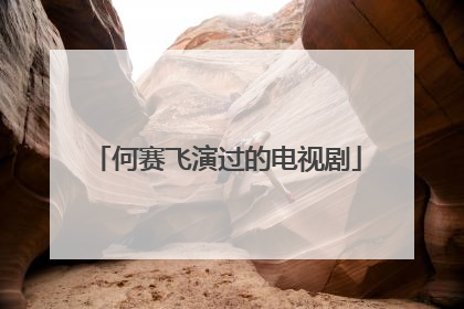 何赛飞演过的电视剧