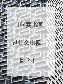 何赛飞演过什么电视剧？