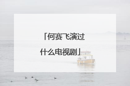 何赛飞演过什么电视剧