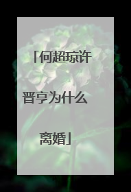 何超琼许晋亨为什么离婚