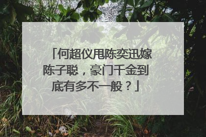 何超仪甩陈奕迅嫁陈子聪，豪门千金到底有多不一般？