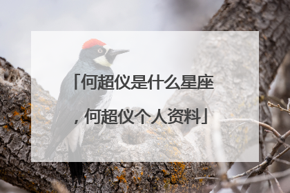 何超仪是什么星座，何超仪个人资料