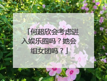 何超欣会考虑进入娱乐圈吗？她会组女团吗？