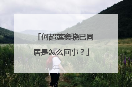 何超莲窦骁已同居是怎么回事?