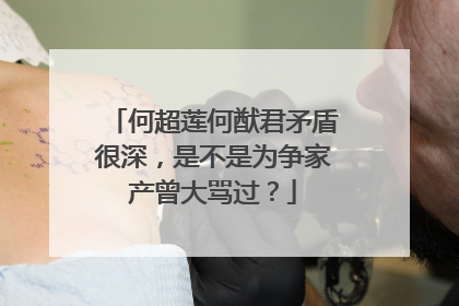 何超莲何猷君矛盾很深,是不是为争家产曾大骂过?