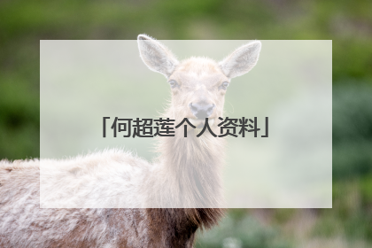 何超莲个人资料